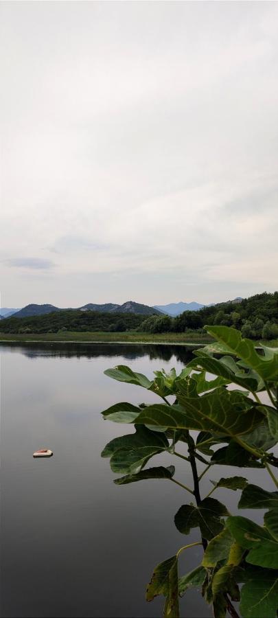 Old House, Skadar Lake Τσέτινιε Εξωτερικό φωτογραφία